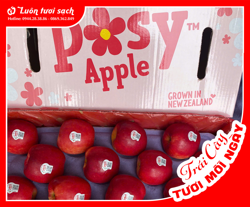 Táo Posy sz 70 nguyên thùng 17kg